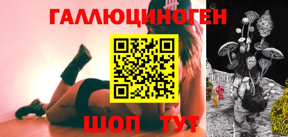 Осинники  Галлюциногенные грибы GOLDEN TEACHER  Вход с VPN 